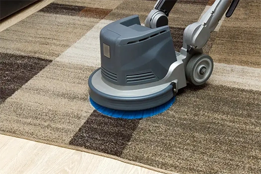 Carpet Stain Removal
